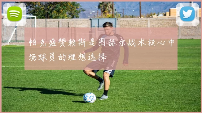 帕克盛赞赖斯是图赫尔战术核心中场球员的理想选择
